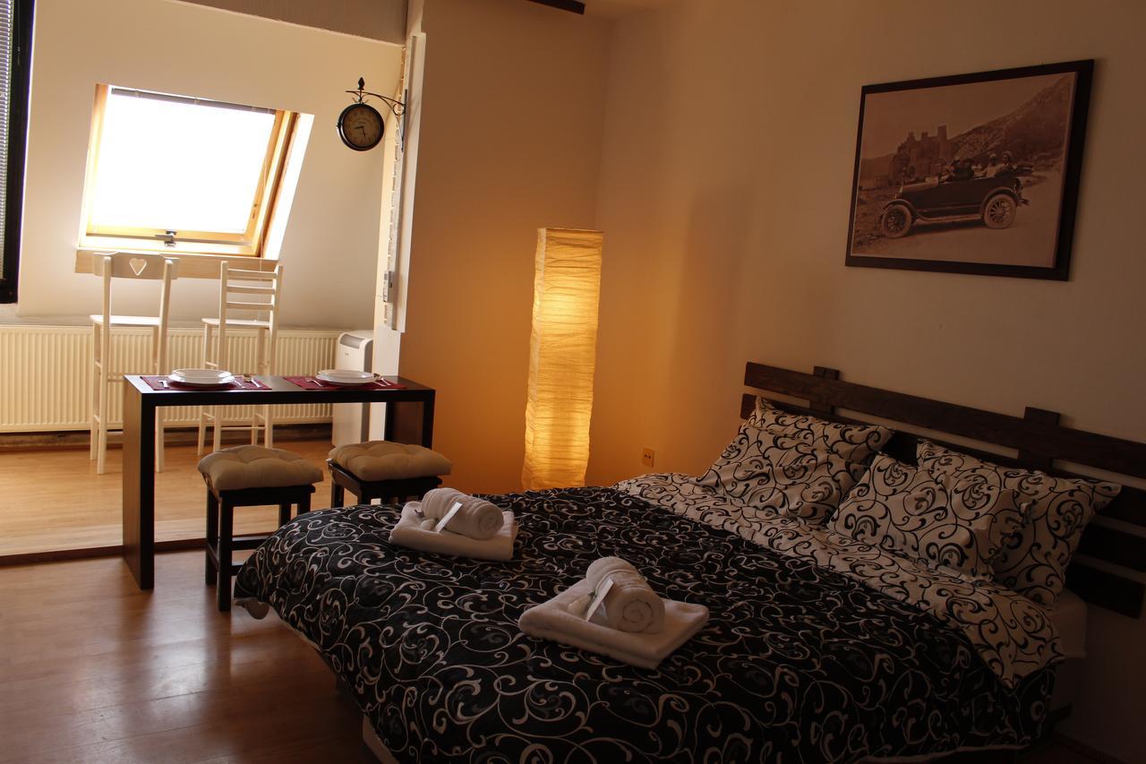 Apartman "Soba Sa Pogledom" Golubac Exterior foto